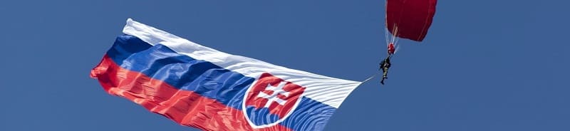 Why you need to learn Slovak - slovak flag